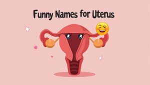 Funny Names for Uterus